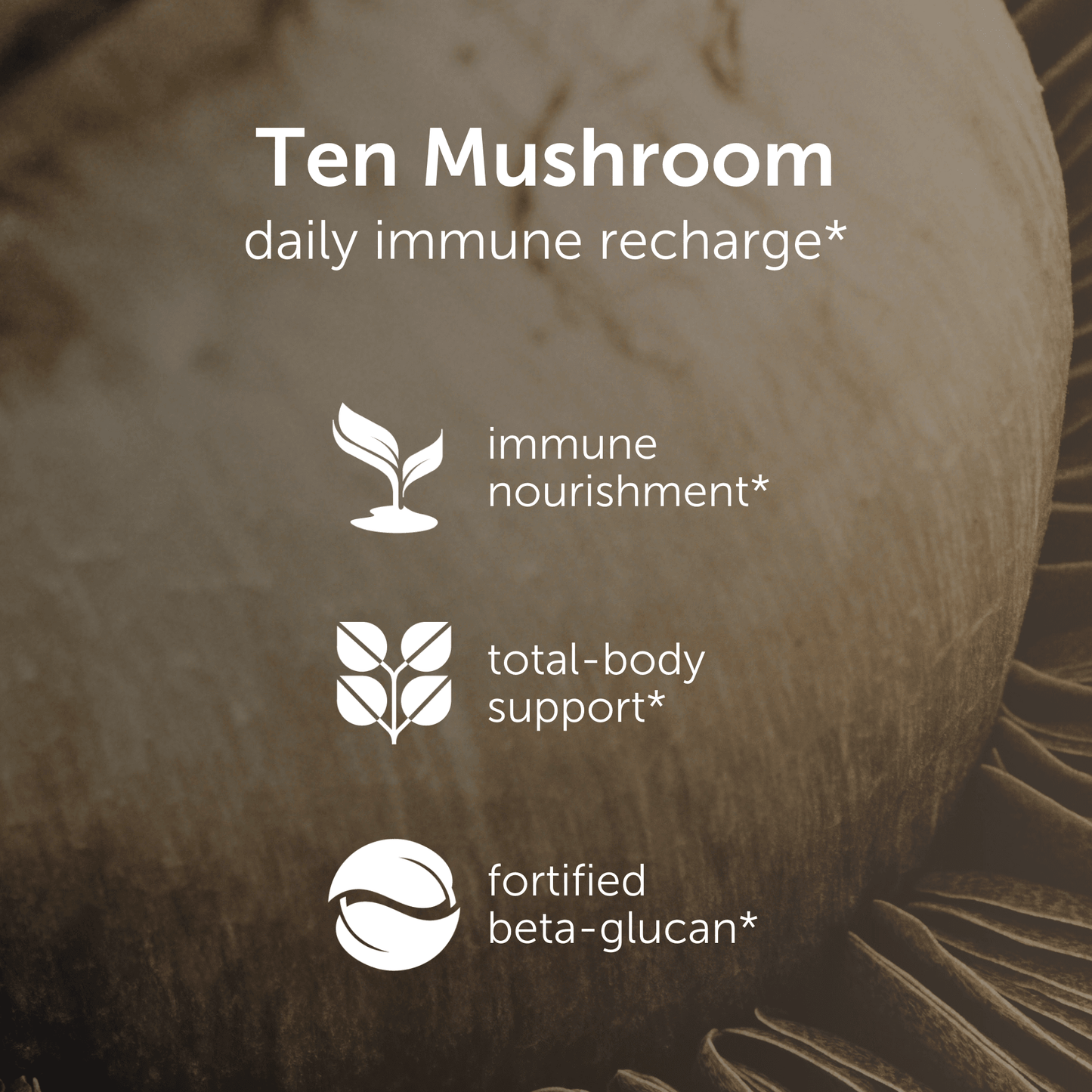 Bastox Ten Mushroom Formula